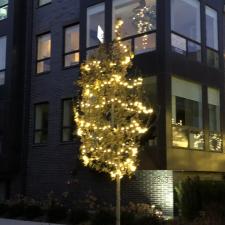 Holiday Lights- Broder Property Management 2